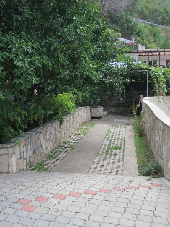 Rezevici